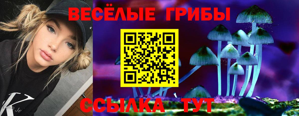 Псилоцибиновые грибы Psilocybine cubensis Симферополь